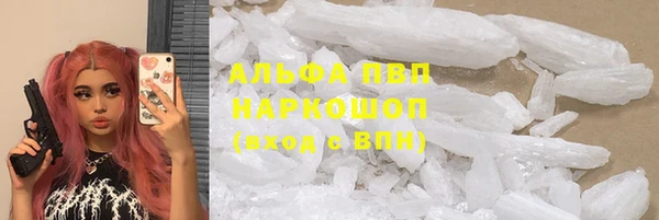 мяу мяу мука Елизово