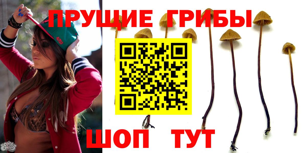 Галлюциногенные грибы мицелий Канск