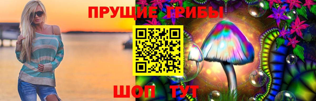 Канск  Псилоцибиновые грибы Psilocybe  Вход с VPN 